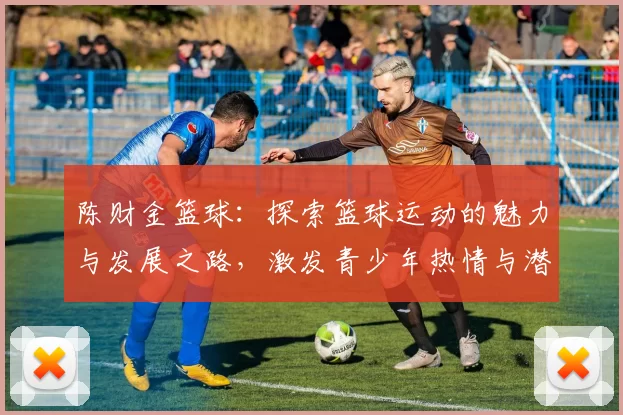 陈财金篮球：探索篮球运动的魅力与发展之路，激发青少年热情与潜力