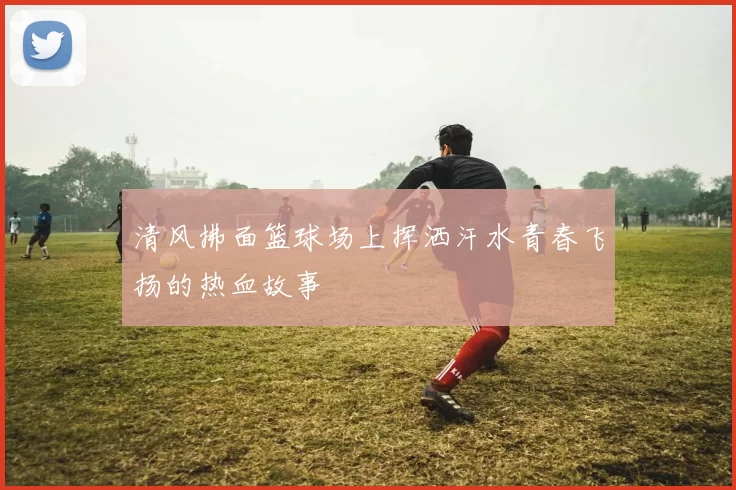 清风拂面篮球场上挥洒汗水青春飞扬的热血故事