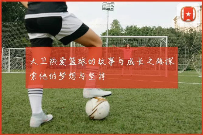 大卫热爱篮球的故事与成长之路探索他的梦想与坚持