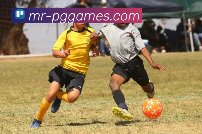 PG电子平台生态图